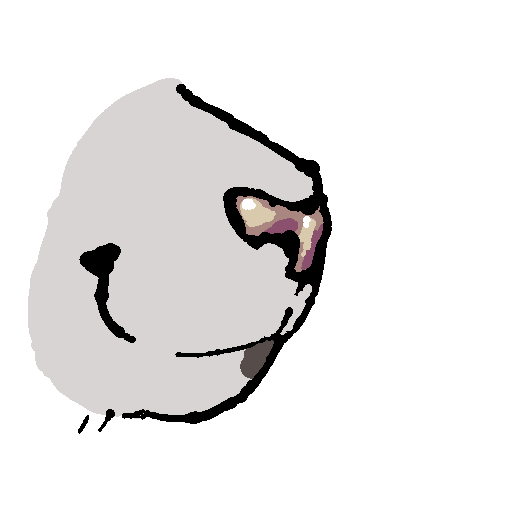a white cat snout, facing the right. his whiskers are visible and he appears to be smiling.